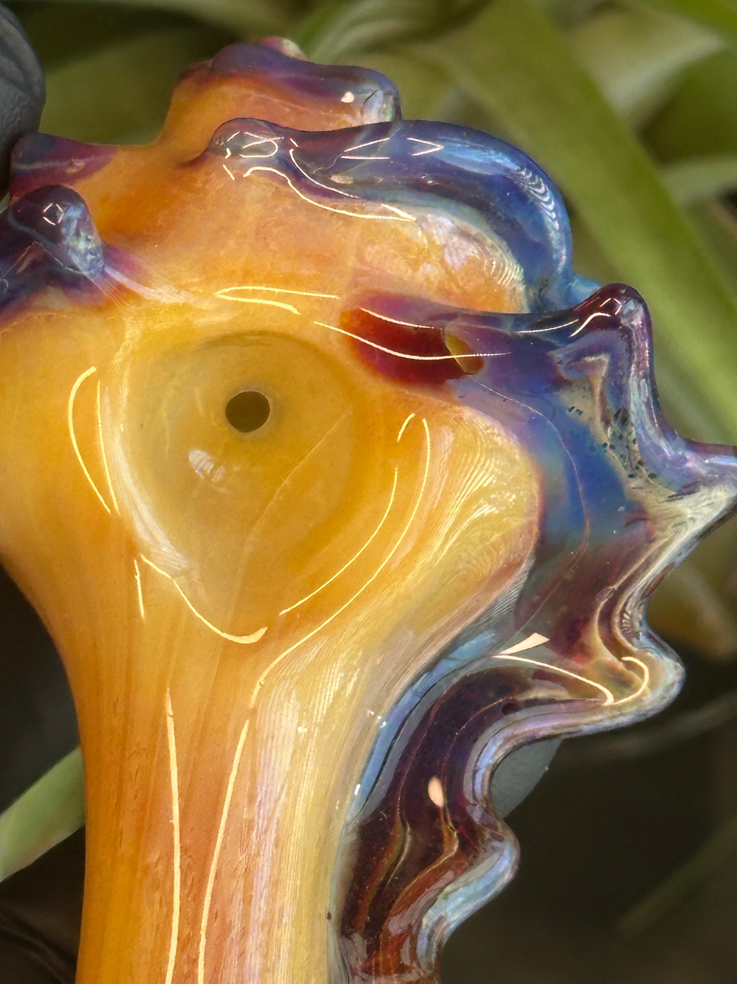 Natural Colored functional dry conch
