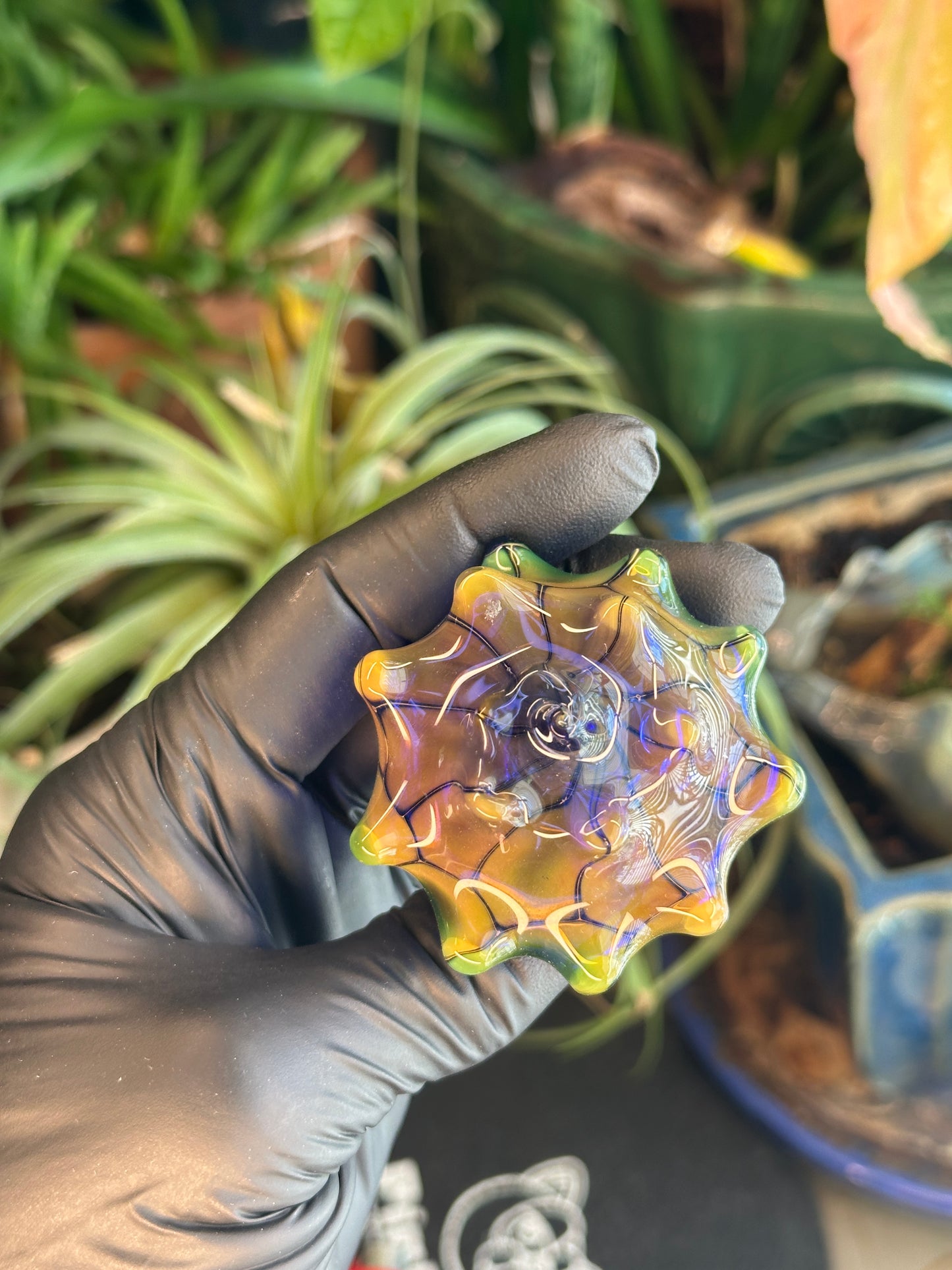 Fume on cobalt scale pattern dry function conch