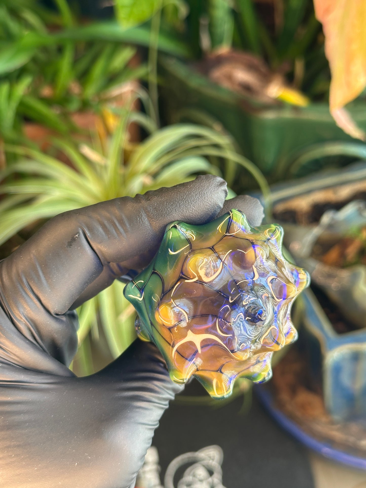 Fume on cobalt scale pattern dry function conch
