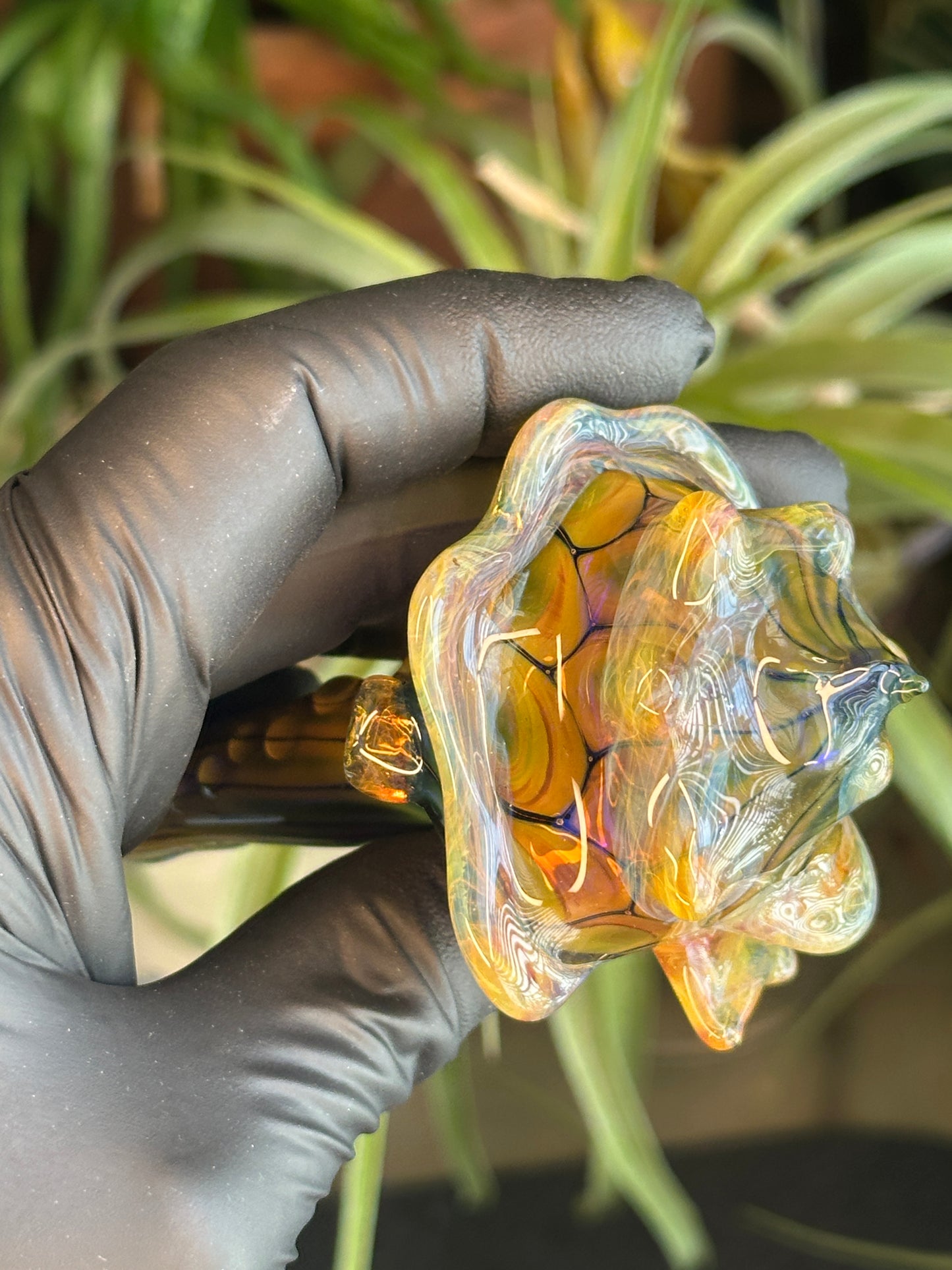 Fume on cobalt scale pattern functional dry conch