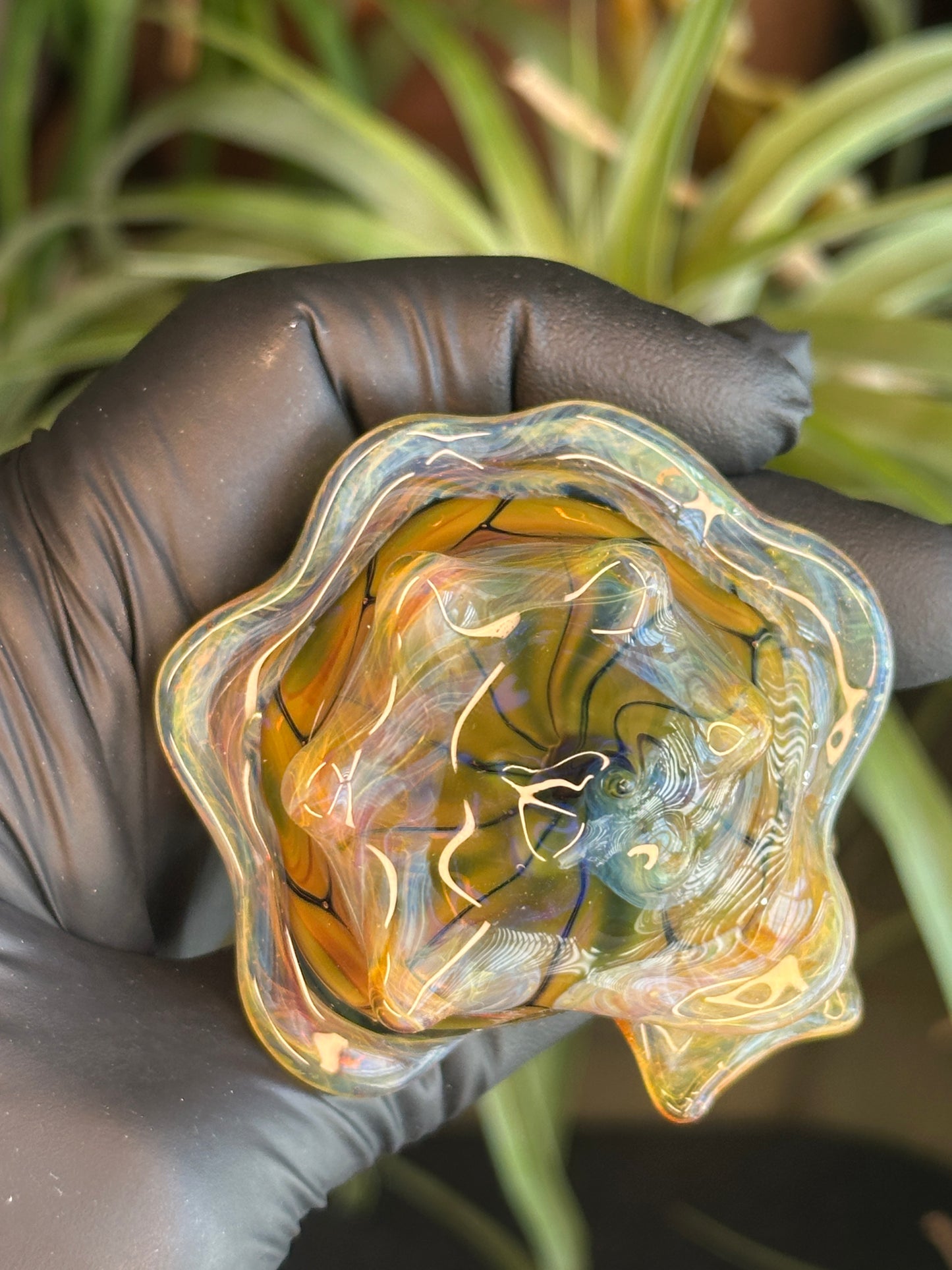 Fume on cobalt scale pattern functional dry conch