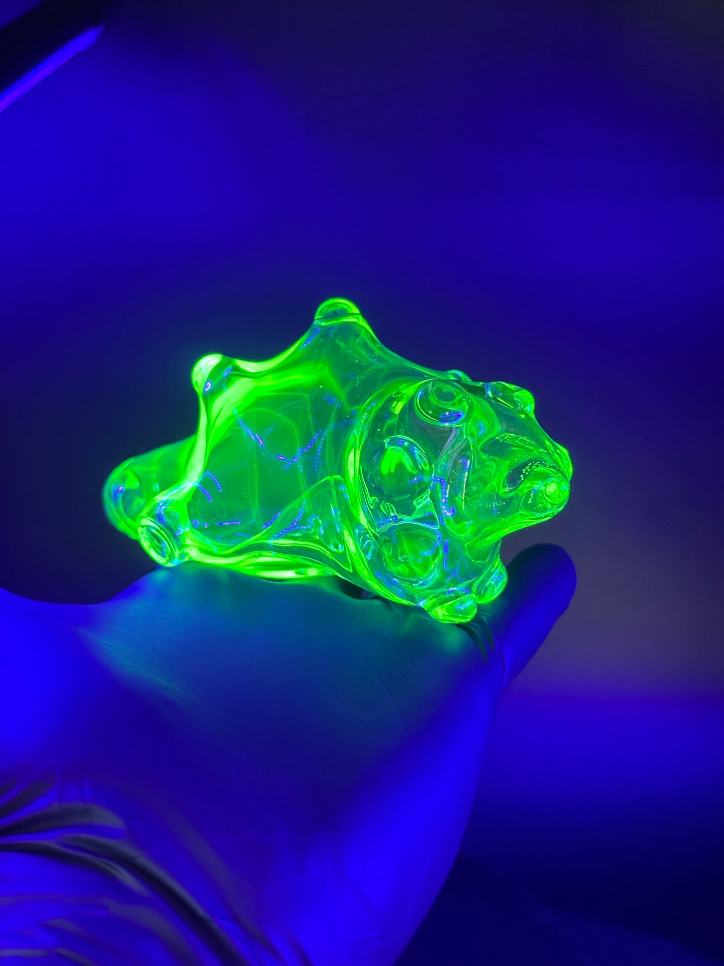 UV reactive dry seashell functional sculpture