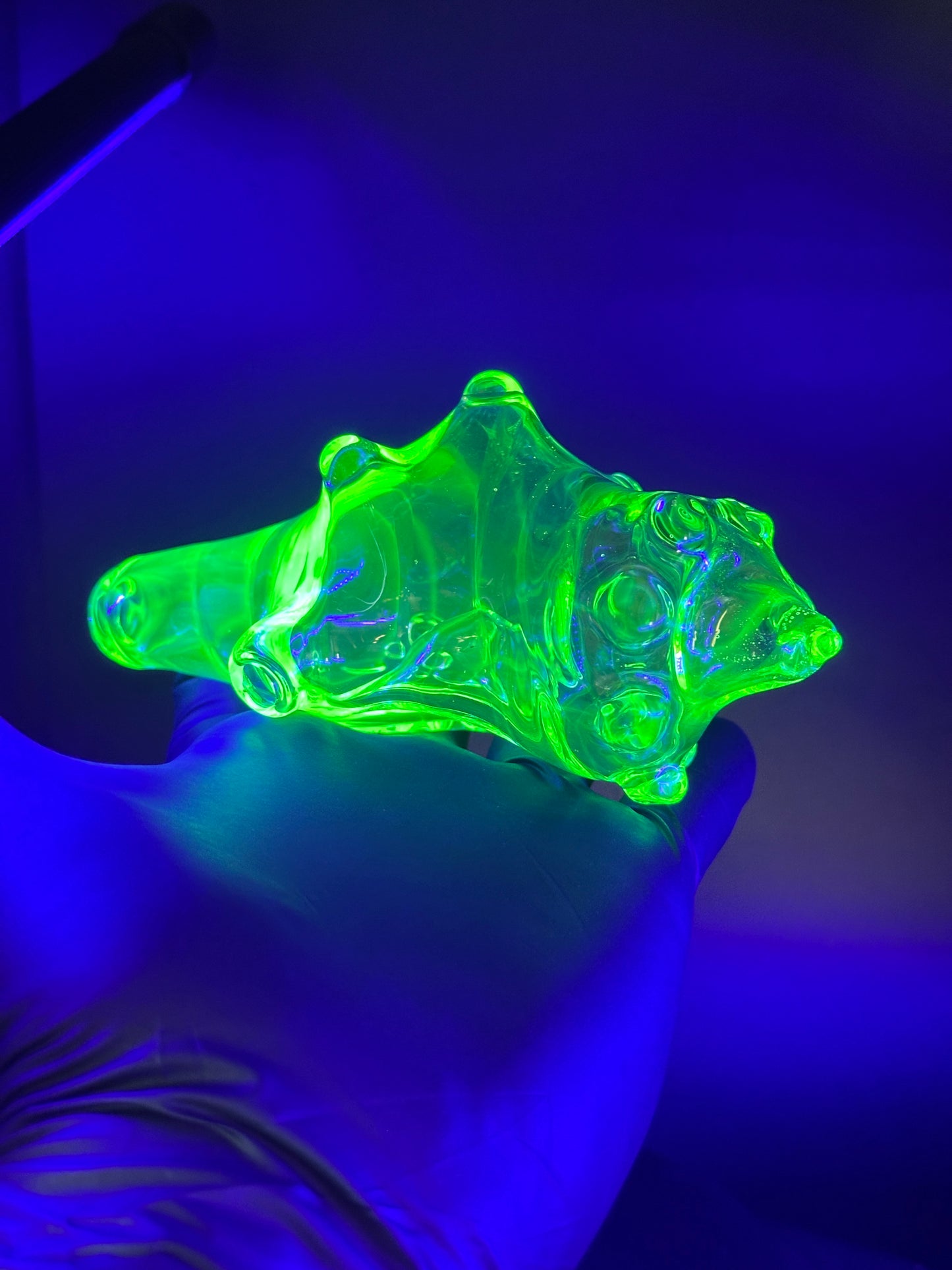 UV reactive dry seashell functional sculpture